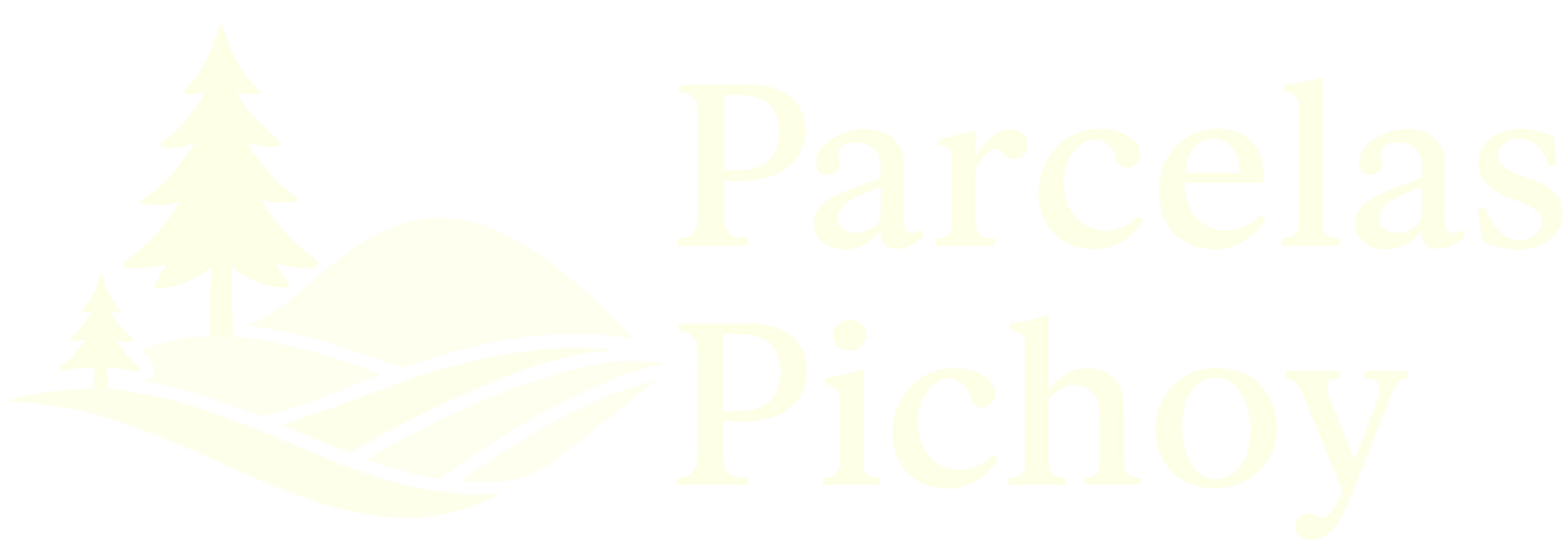 Parcelas Pichoy